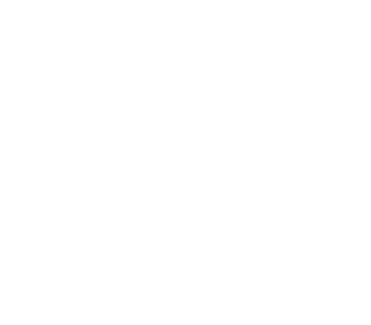Logo Icam